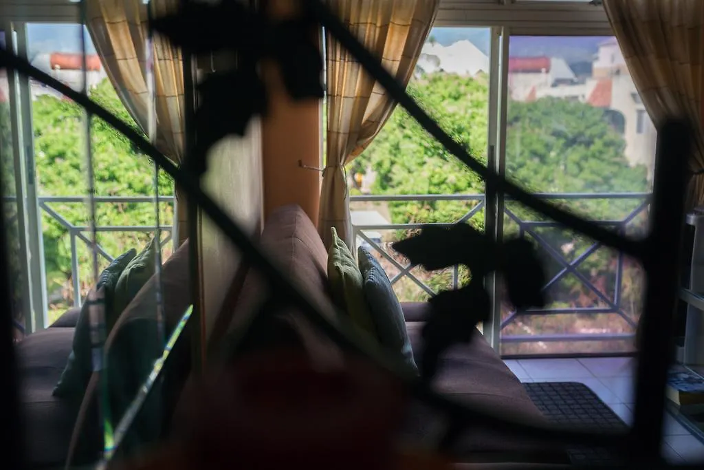 Cozy Accommodations 킹스톤